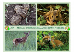 Jún, mesiac poľovníctva a ochrany prírody 1