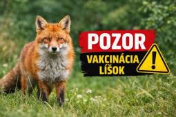 Jesenná orálna vakcinácia líšok 2026 — upozornenie pre obyvateľov
